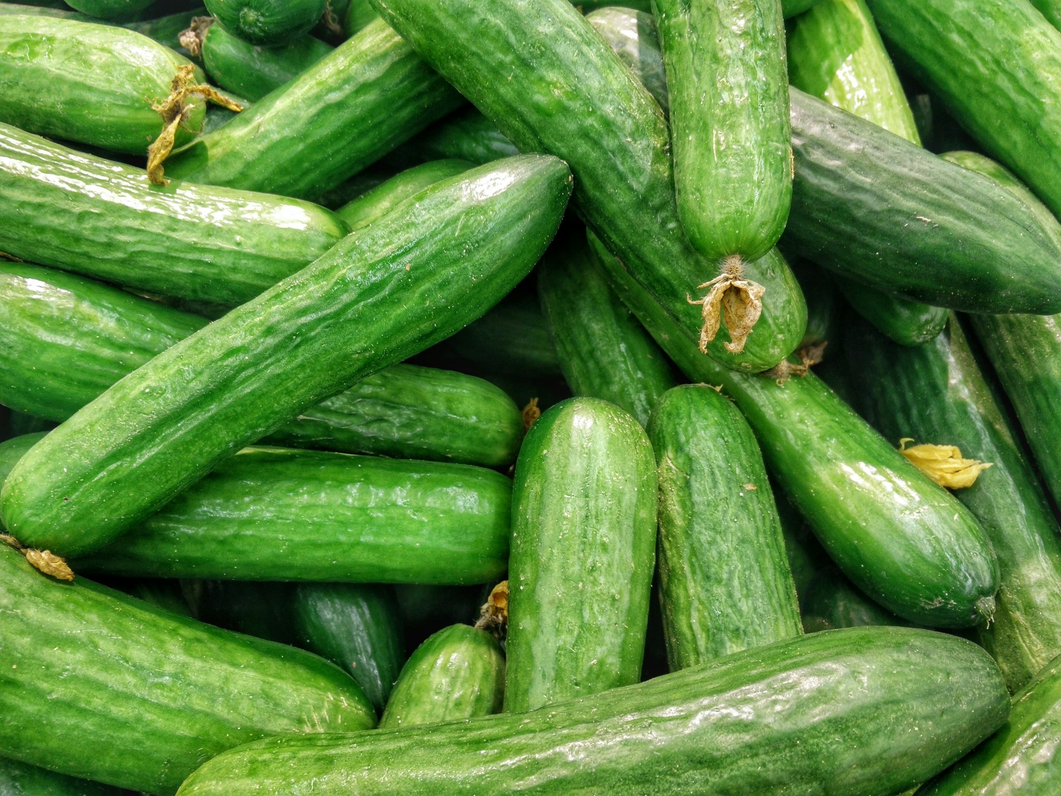 https://hindi.krishijagran.com/ampstories/cucumber-side-effects-these-people-should-not-eat-cucumber-in-night.html