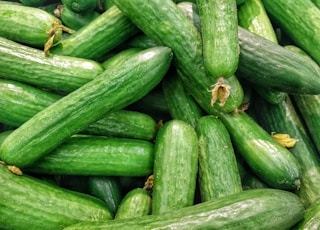 cucumber lot