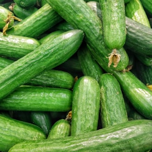 cucumber lot
