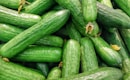 cucumber lot