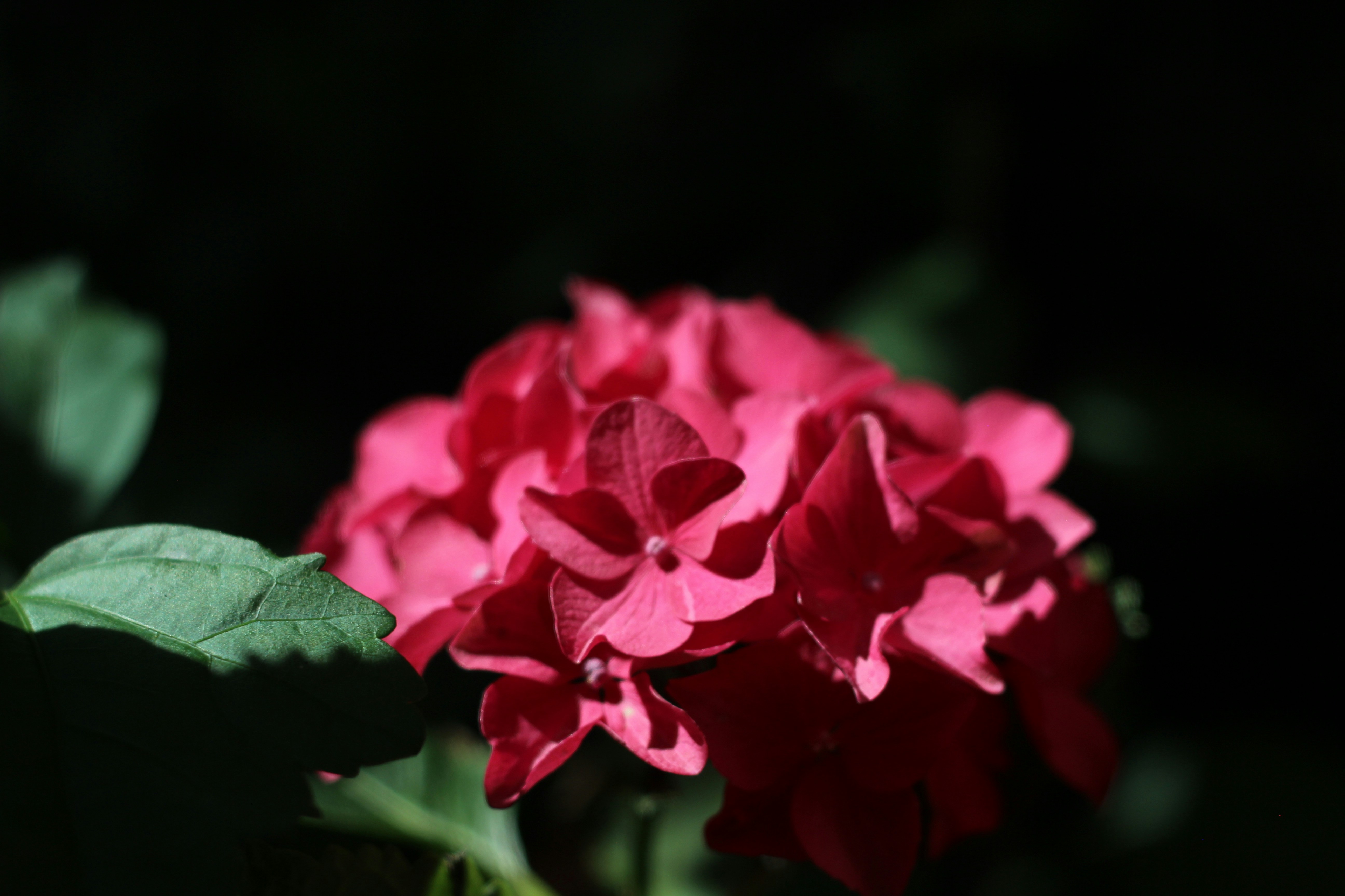 Free Unsplash photo from Kai Brune