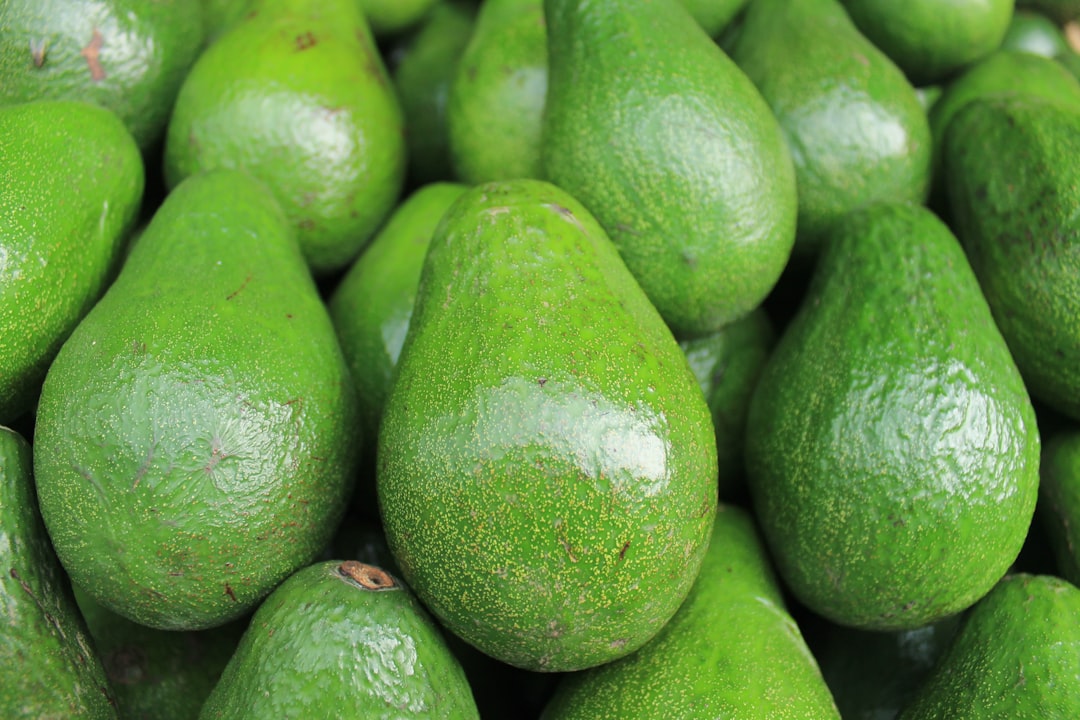 avocado fruits