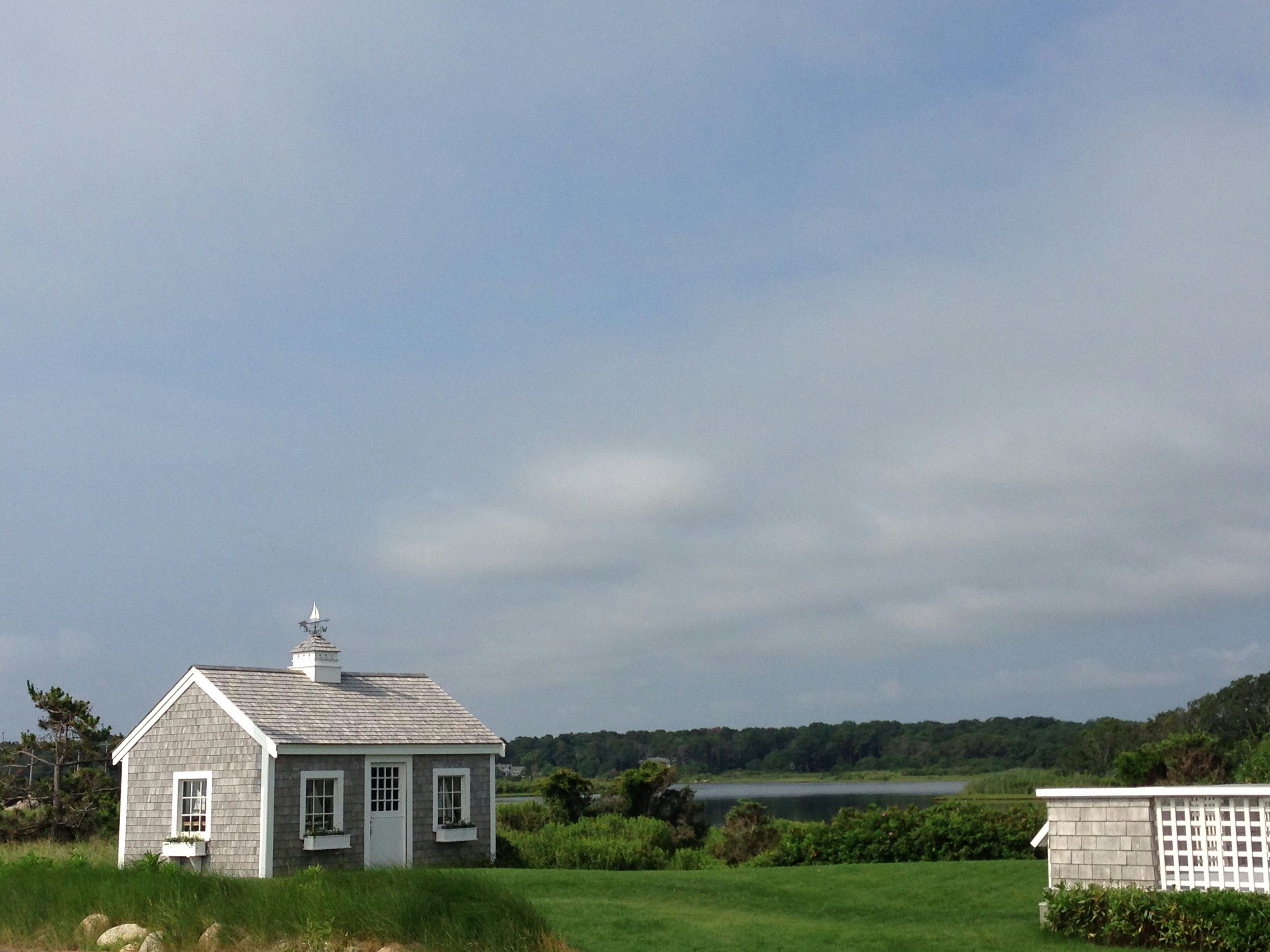 Free Unsplash photo from Arien Afshar