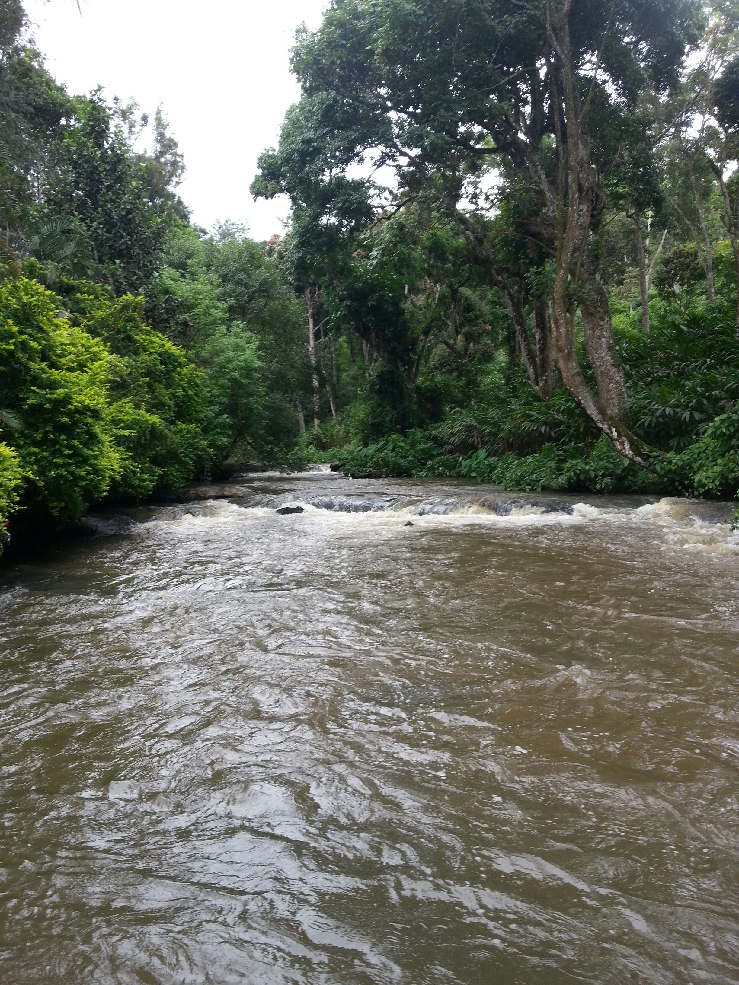 Free Unsplash photo from Suganth C