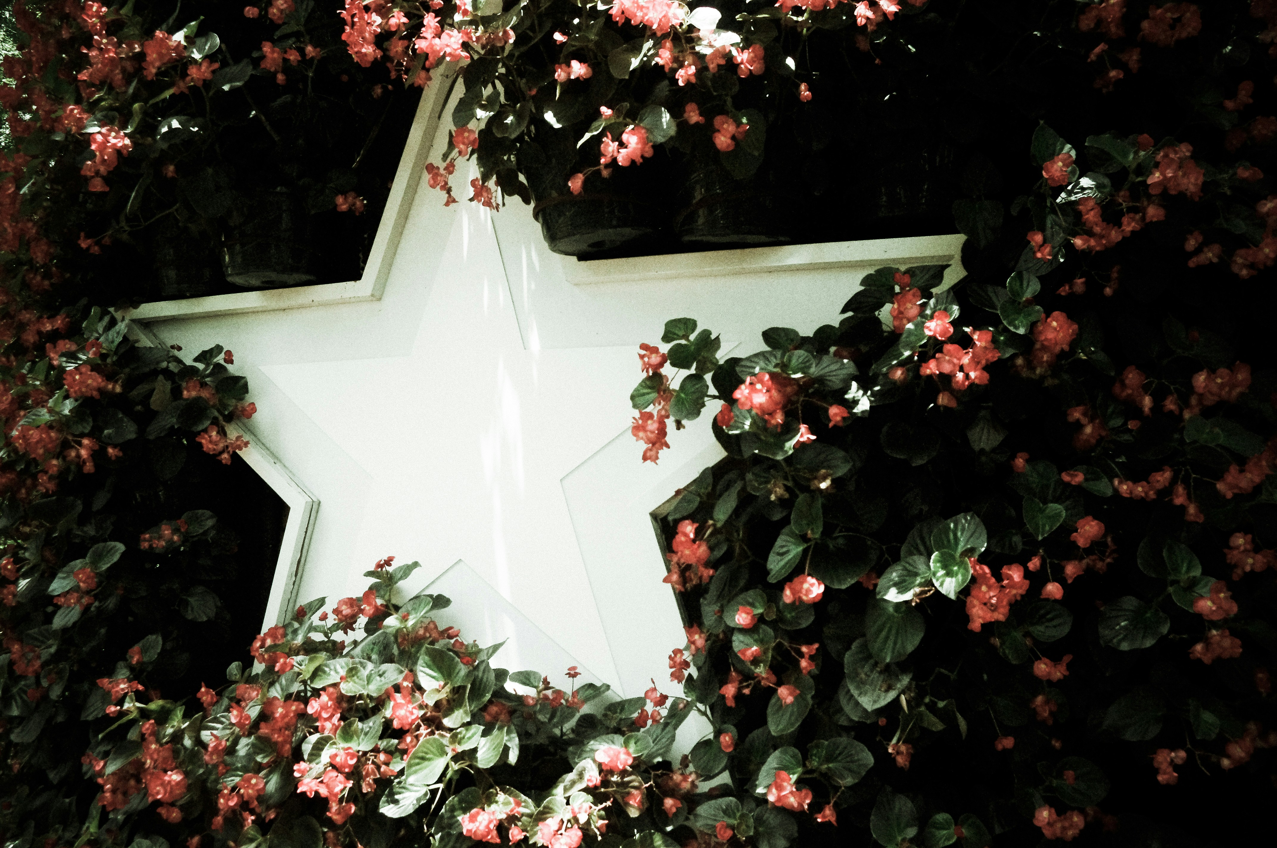 Free Unsplash photo from Siqo Wander