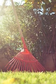 A set of colorful rakes leaning against a wooden fence in a sunny backyard.