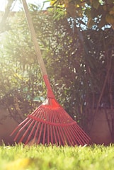 Heavy-duty garden rakes leaning against a rustic shed surrounded by autumn leaves.