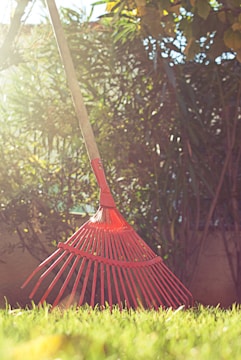 A durable garden rake with metal tines leaning against a fence in a sunny backyard.