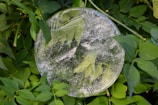 A round block of ice with leaves frozen inside, surrounded by lush green foliage. The ice appears cracked and textured, contrasting with the organic shapes of the leaves both inside and outside the ice.