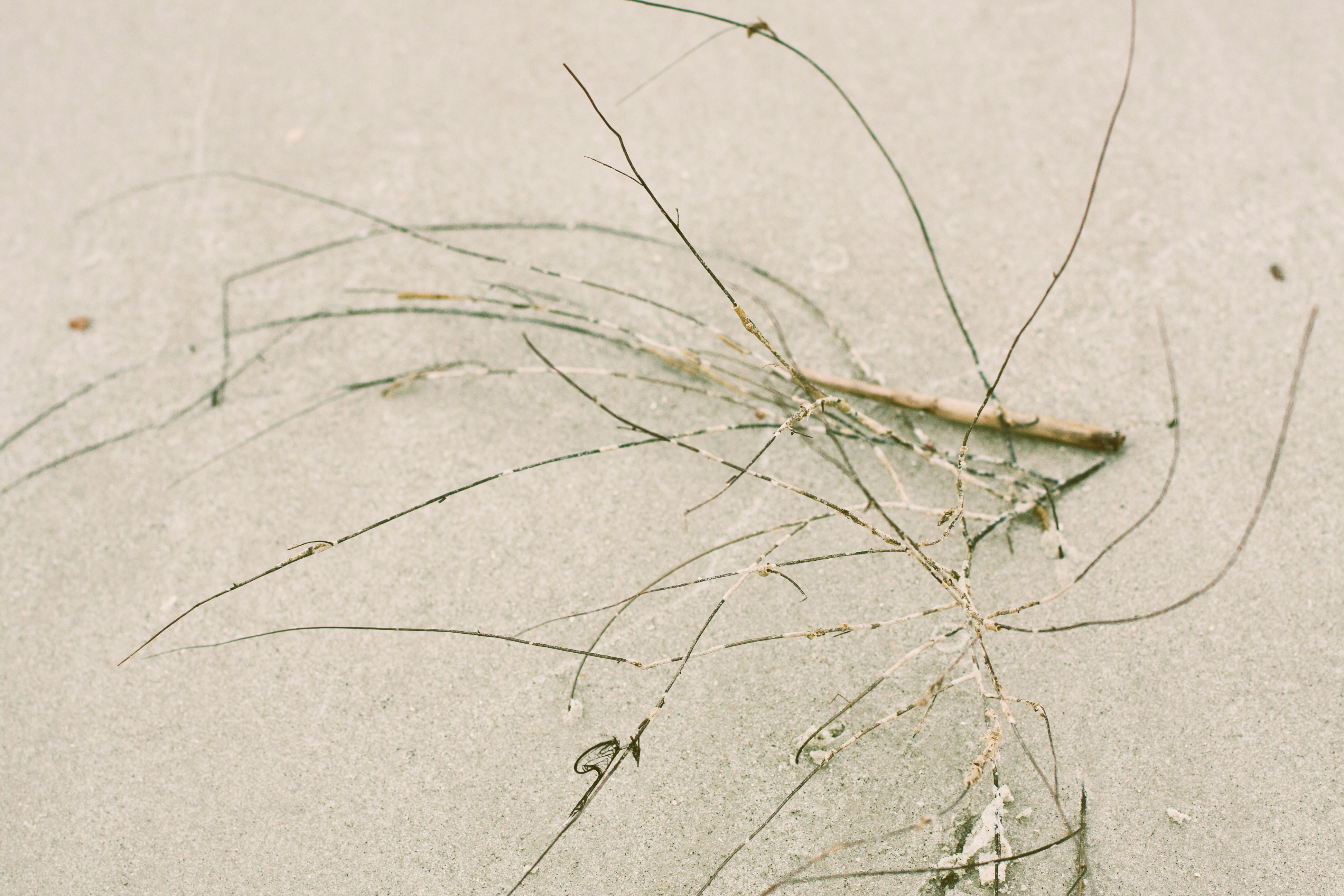 Free Unsplash photo from Jen Palmer