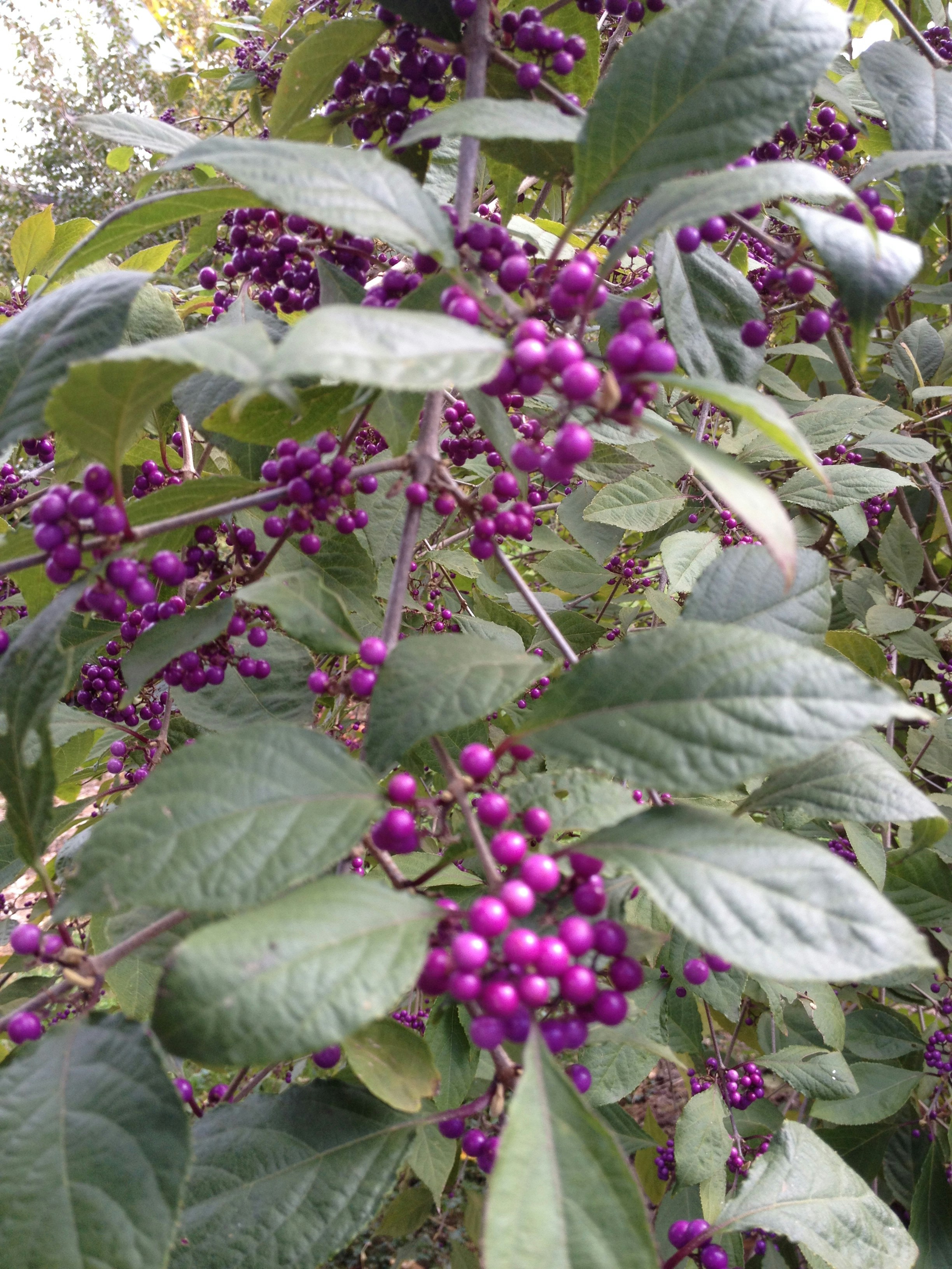 Free Unsplash photo from Kim Sorenson