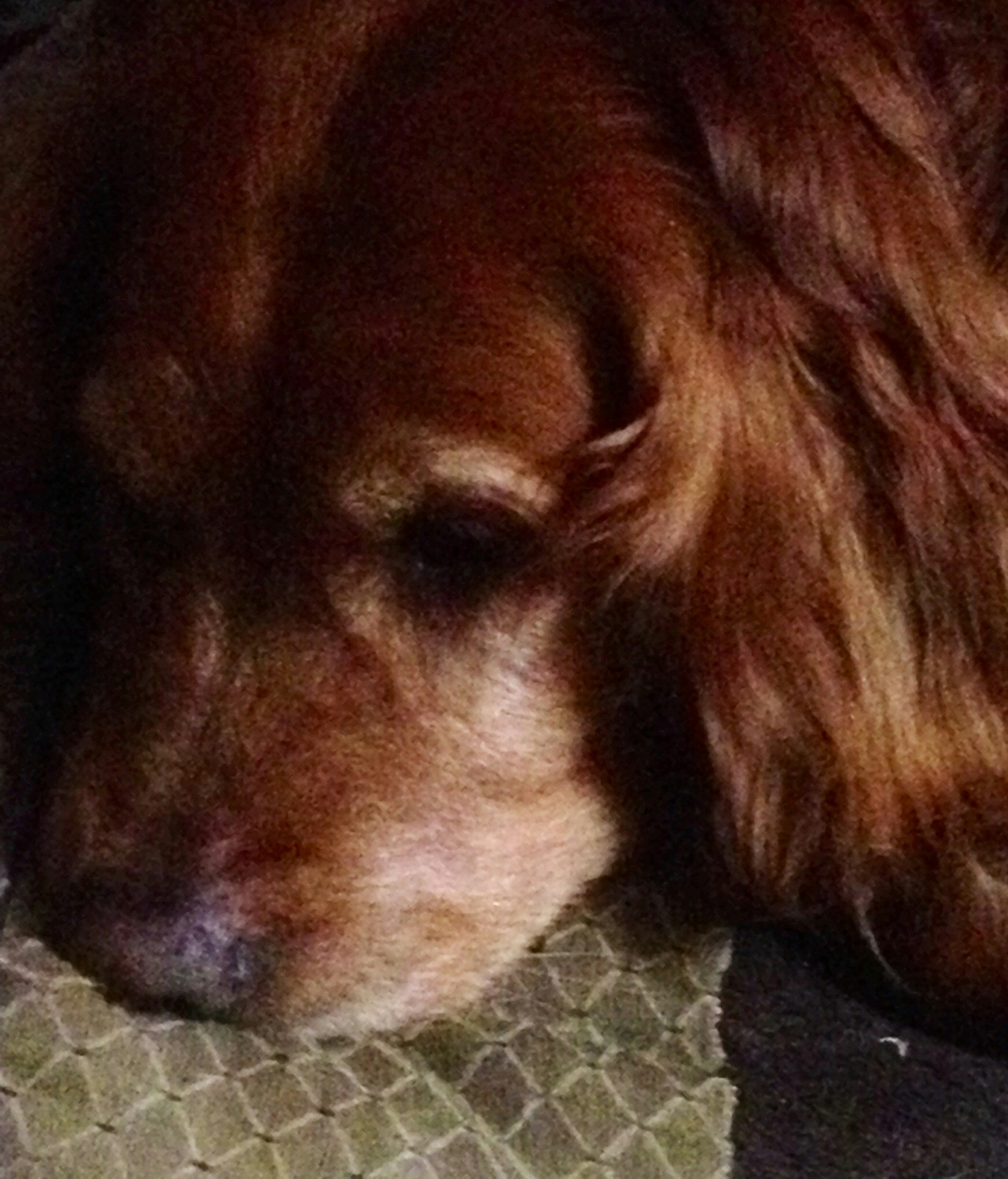 Free Unsplash photo from Kim Sorenson