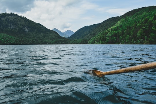 brown paddle in Alpsee Germany