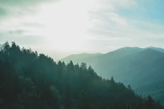 aerial photography of mountains in Great Smoky Mountains United States