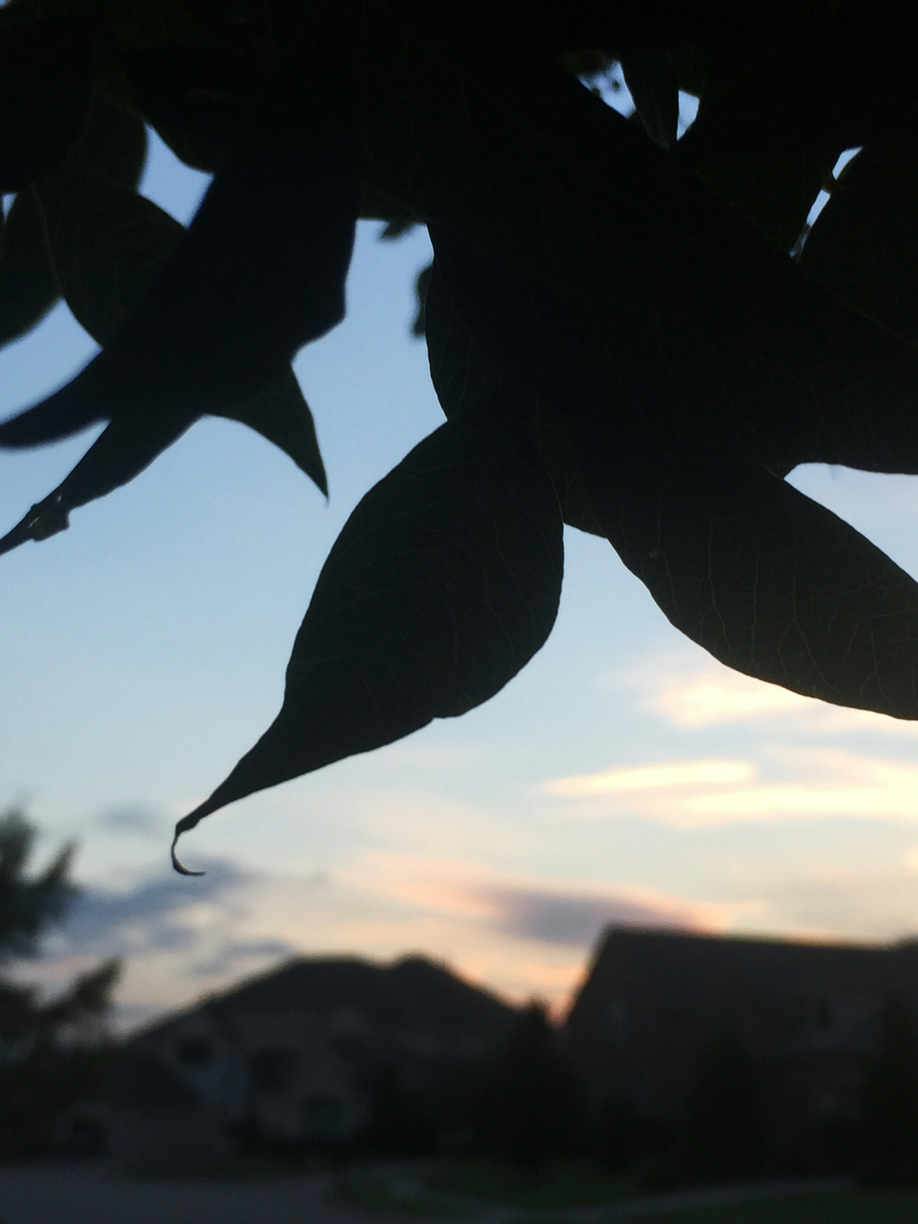 Free Unsplash photo from Naisha Hasan