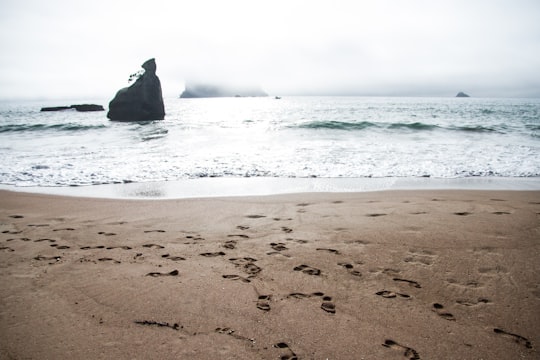 beach sand with footprints during daytime in Cathedral Cove New Zealand