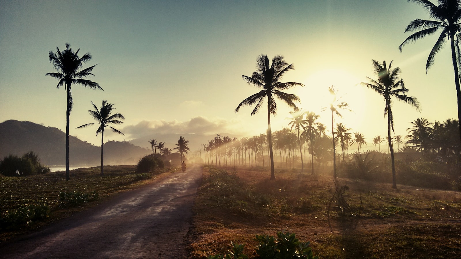 Motorola Moto G (2nd Gen) sample photo. Landscape photo of coconut photography