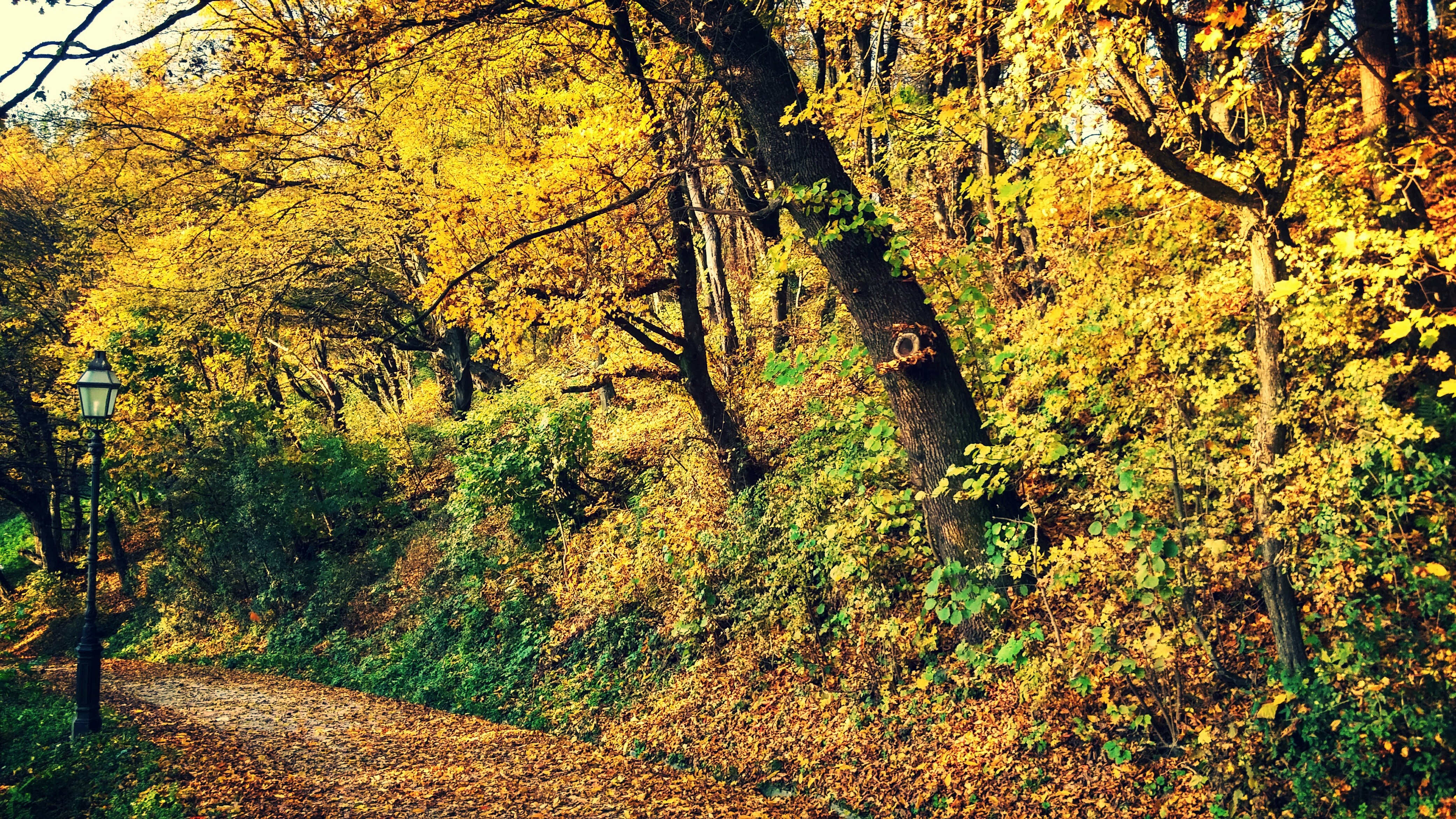 Free Unsplash photo from Nika Koprivnikar