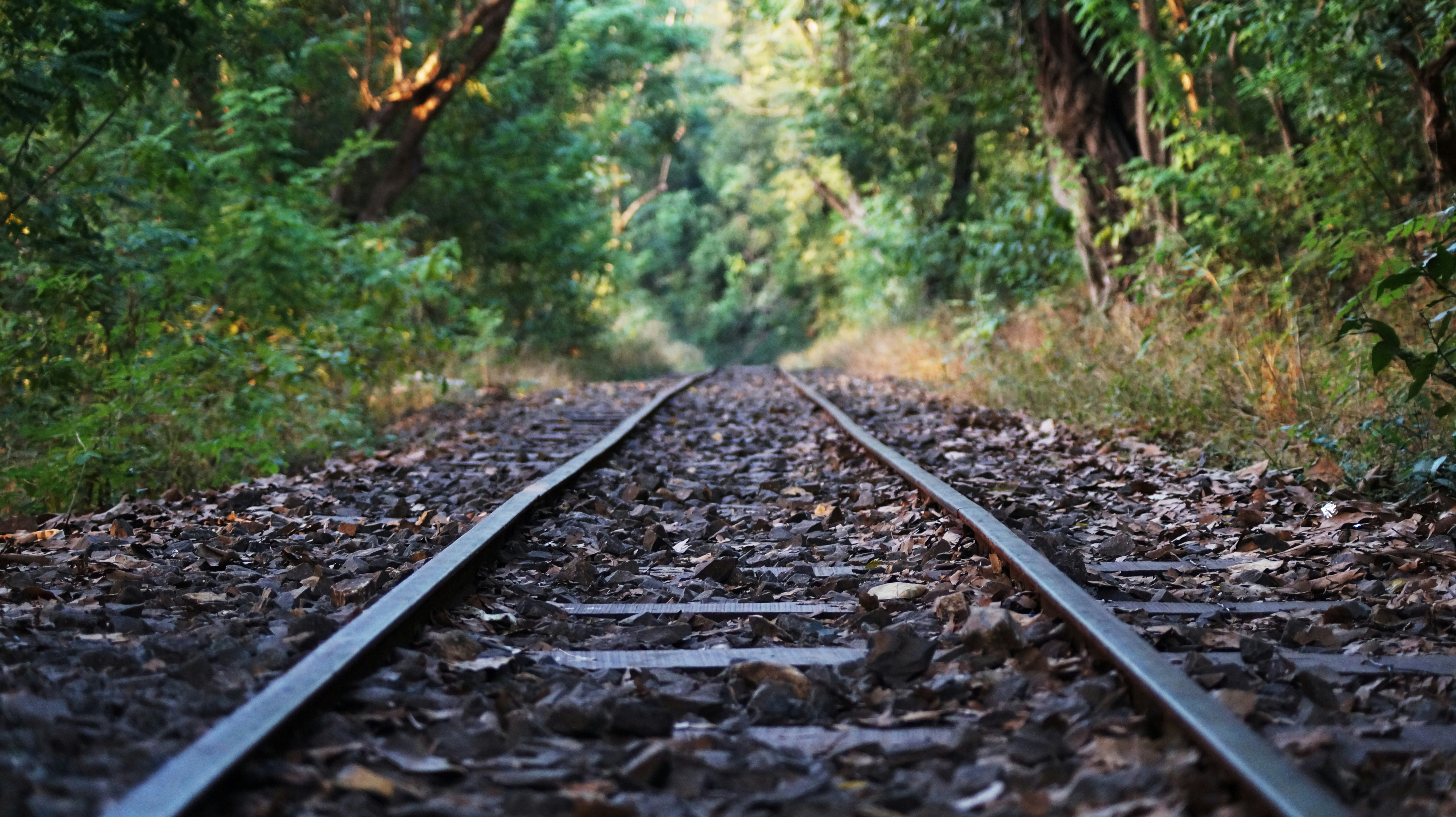 Free Unsplash photo from Rajesh Gupta