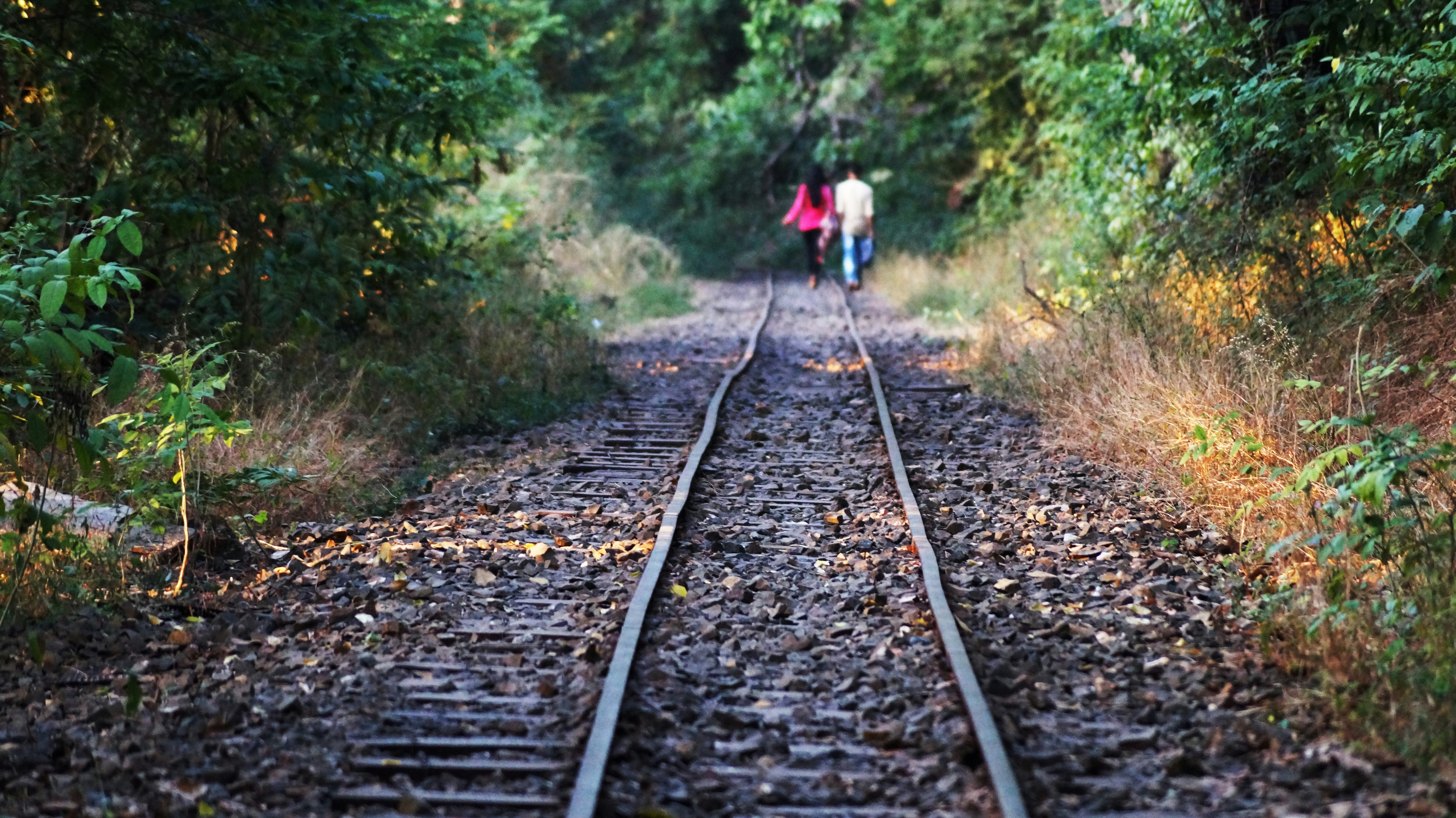 Free Unsplash photo from Rajesh Gupta