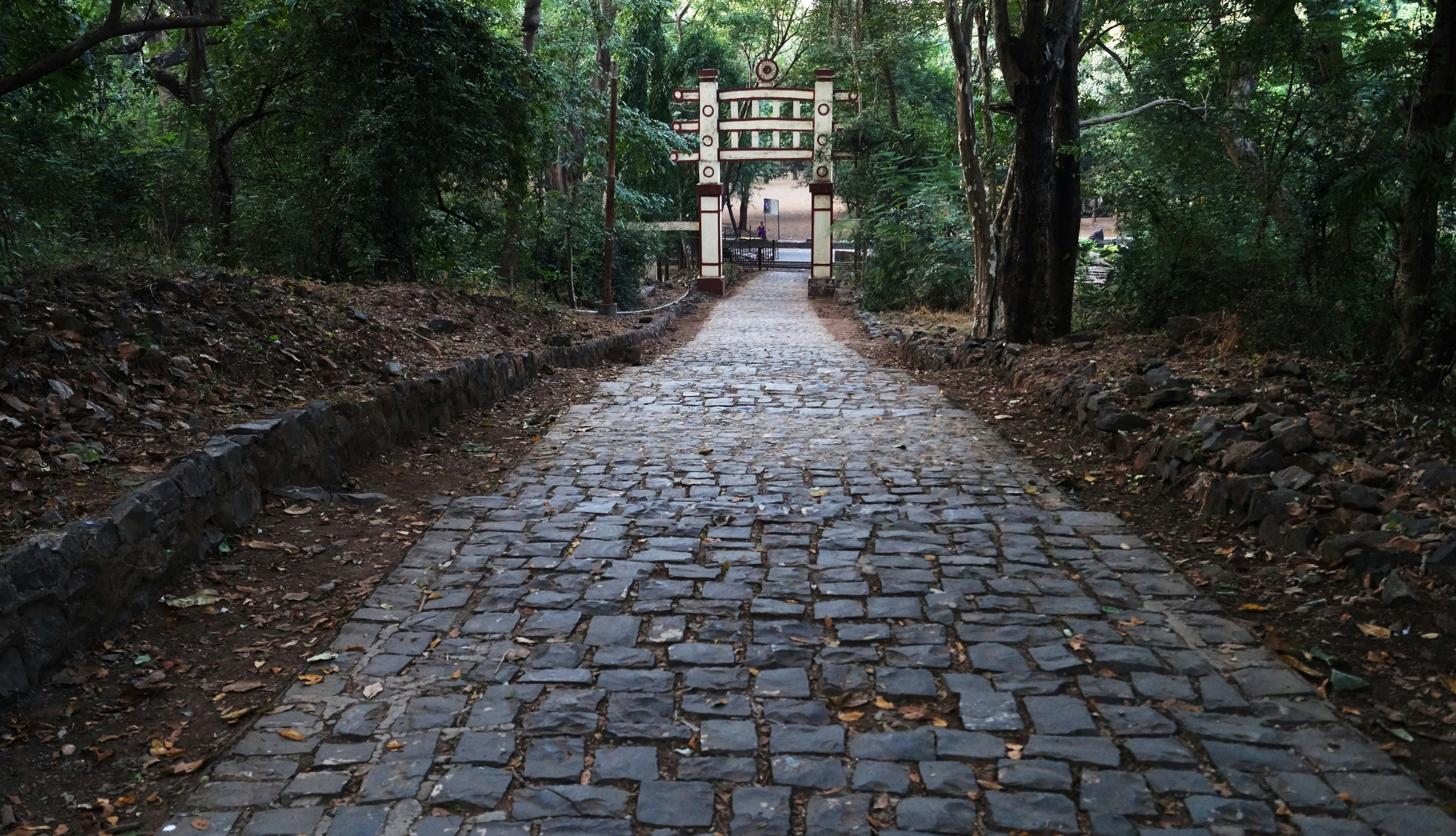 Free Unsplash photo from Rajesh Gupta