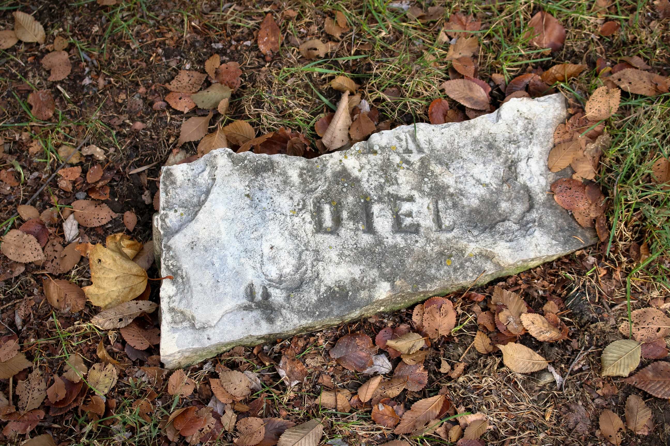 Free Unsplash photo from Mike Hale