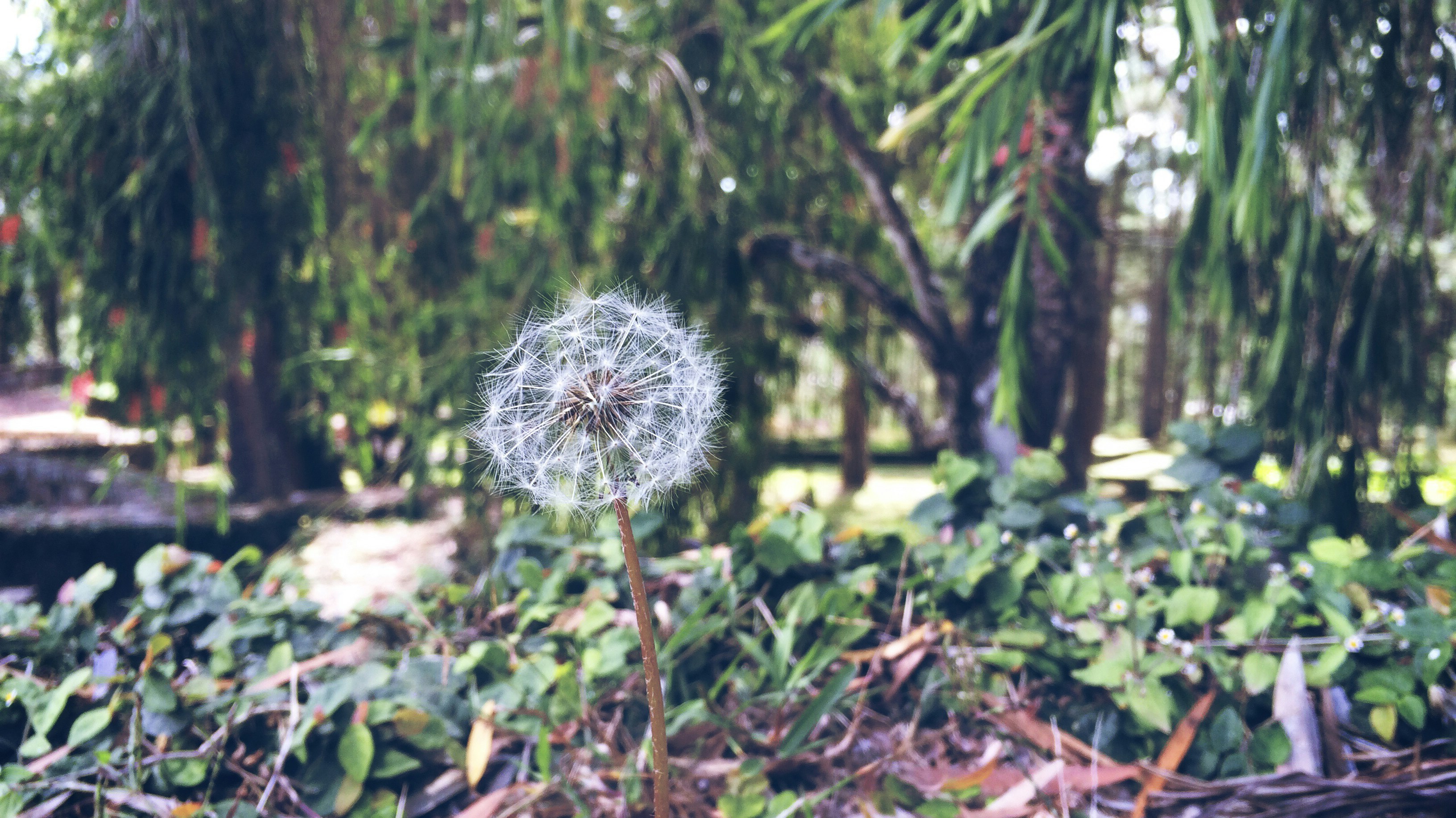 Free Unsplash photo from Duy Nguyễn