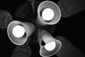 Night Glow Fan