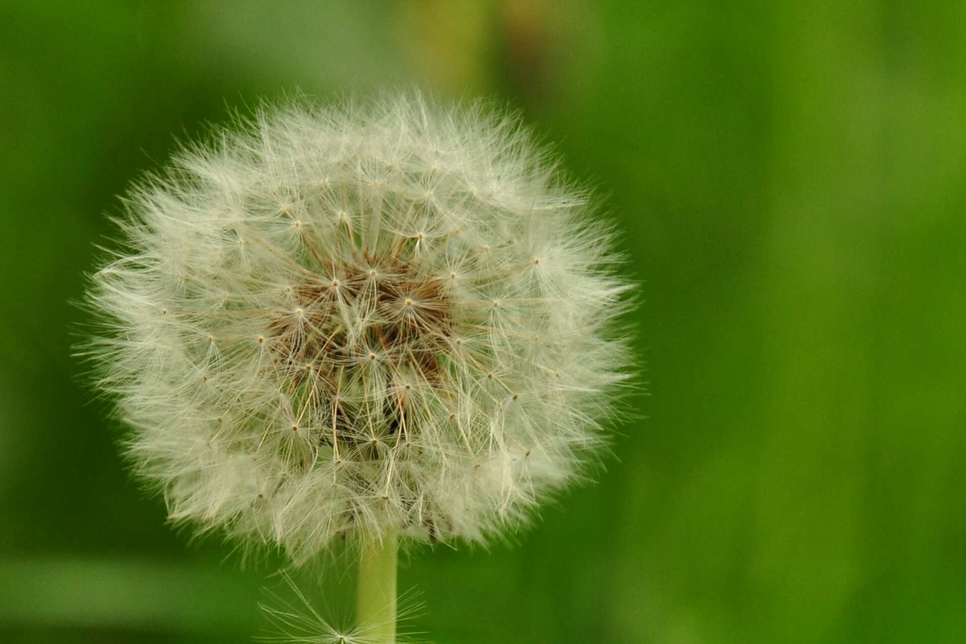 Free Unsplash photo from Ram Alvakonda