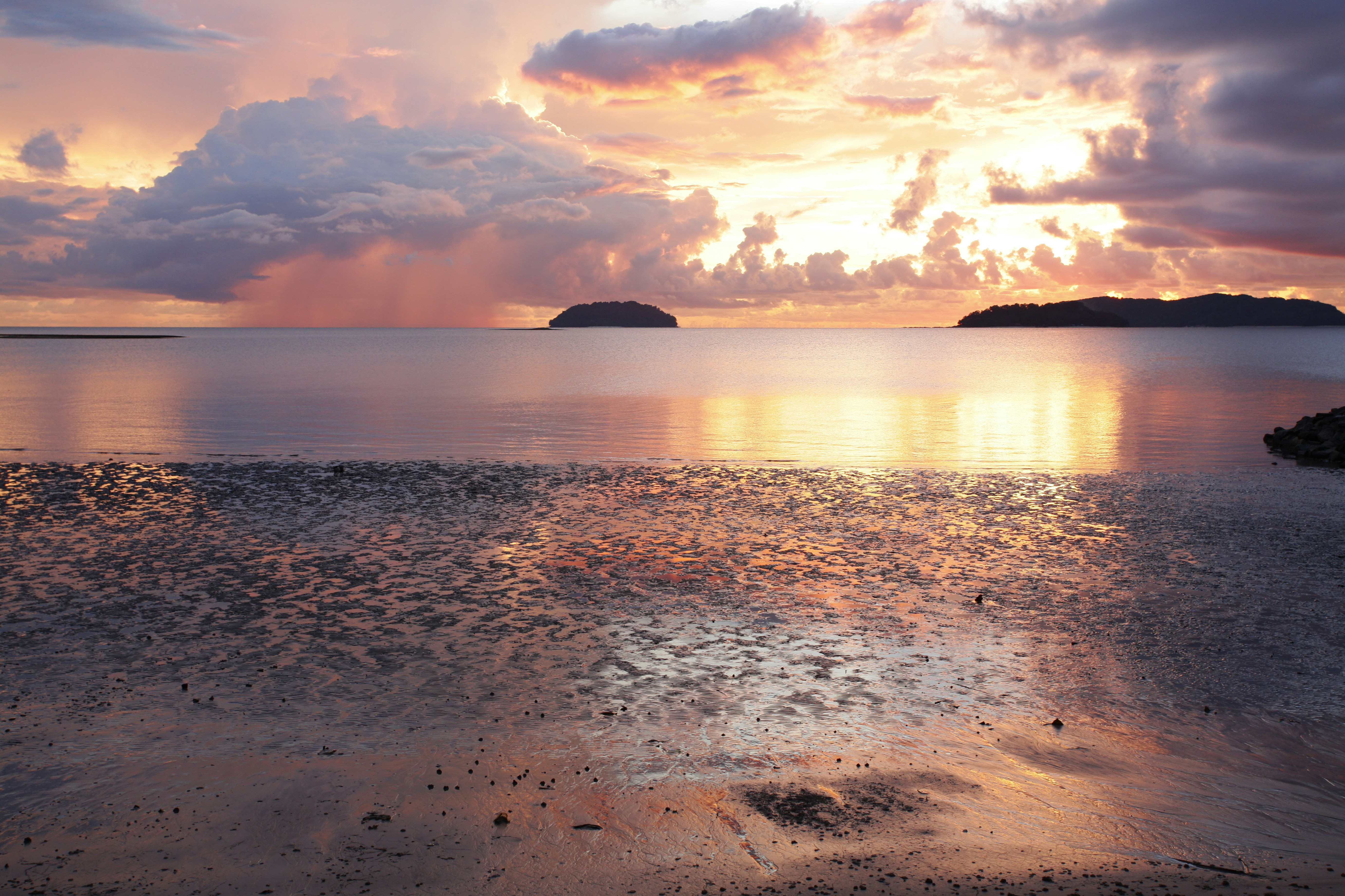 Free Unsplash photo from Eason He