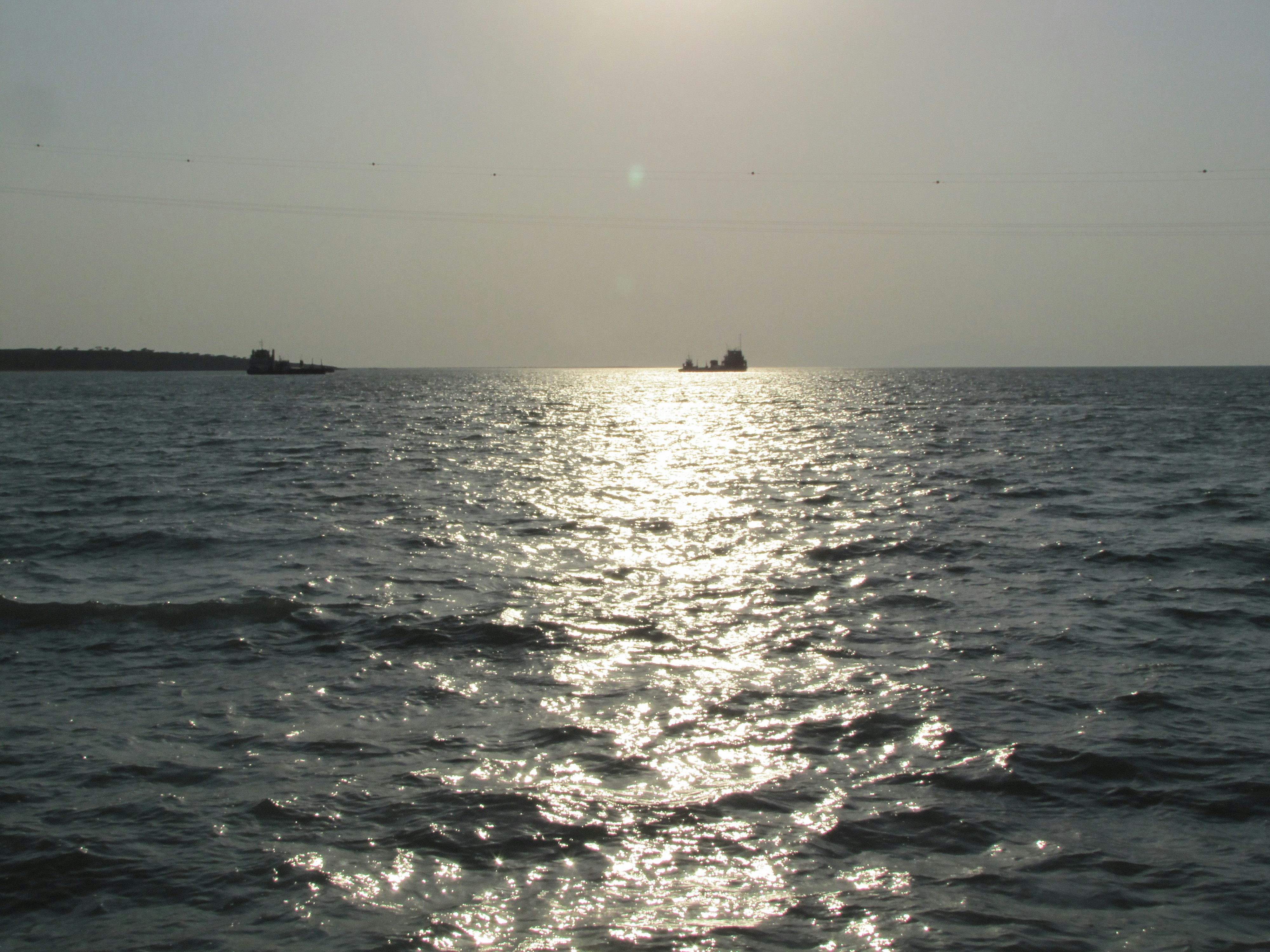 Free Unsplash photo from Sajedeh Yazdani