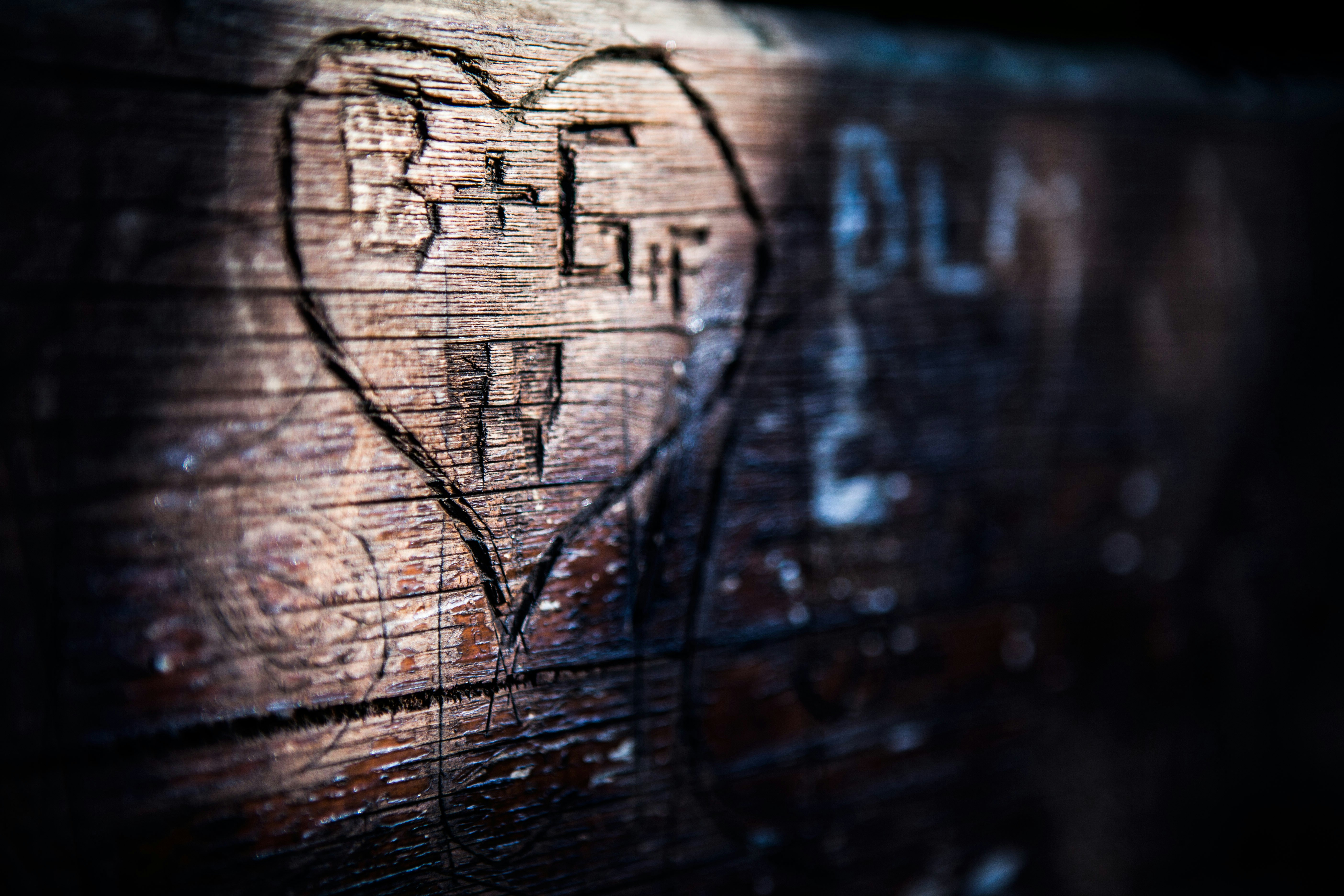 Free Unsplash photo from Alex Franzelin