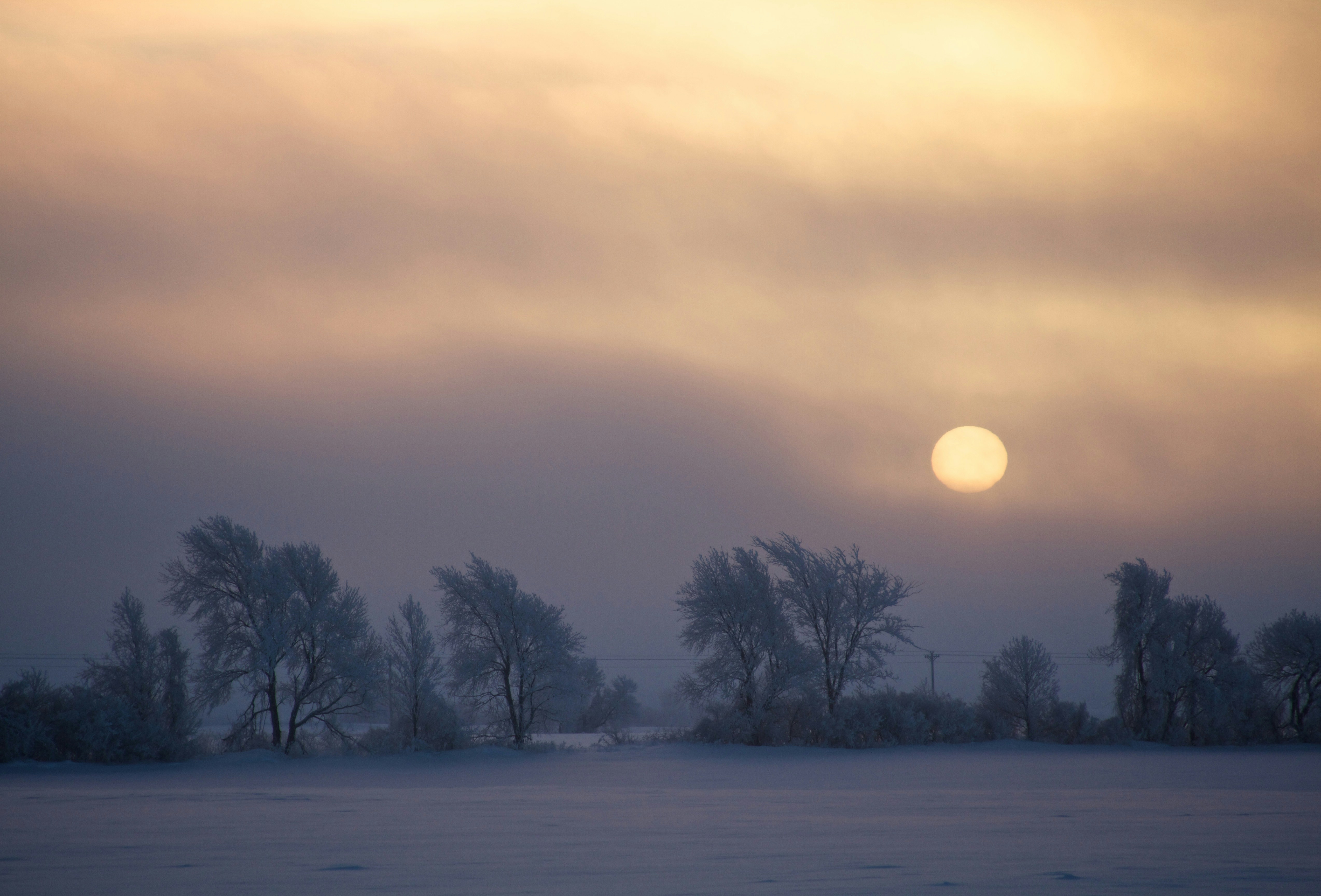 Free Unsplash photo from Justin Moreland