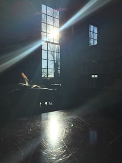 Sunlight streaming through windows onto a quiet library corner filled with books.