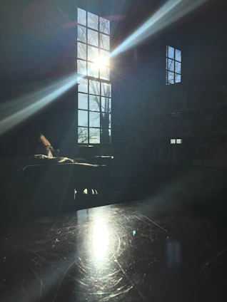 Portrait of Mary Langley seated by a window with twilight casting shadows, surrounded by stacks of her Nightbound series books.