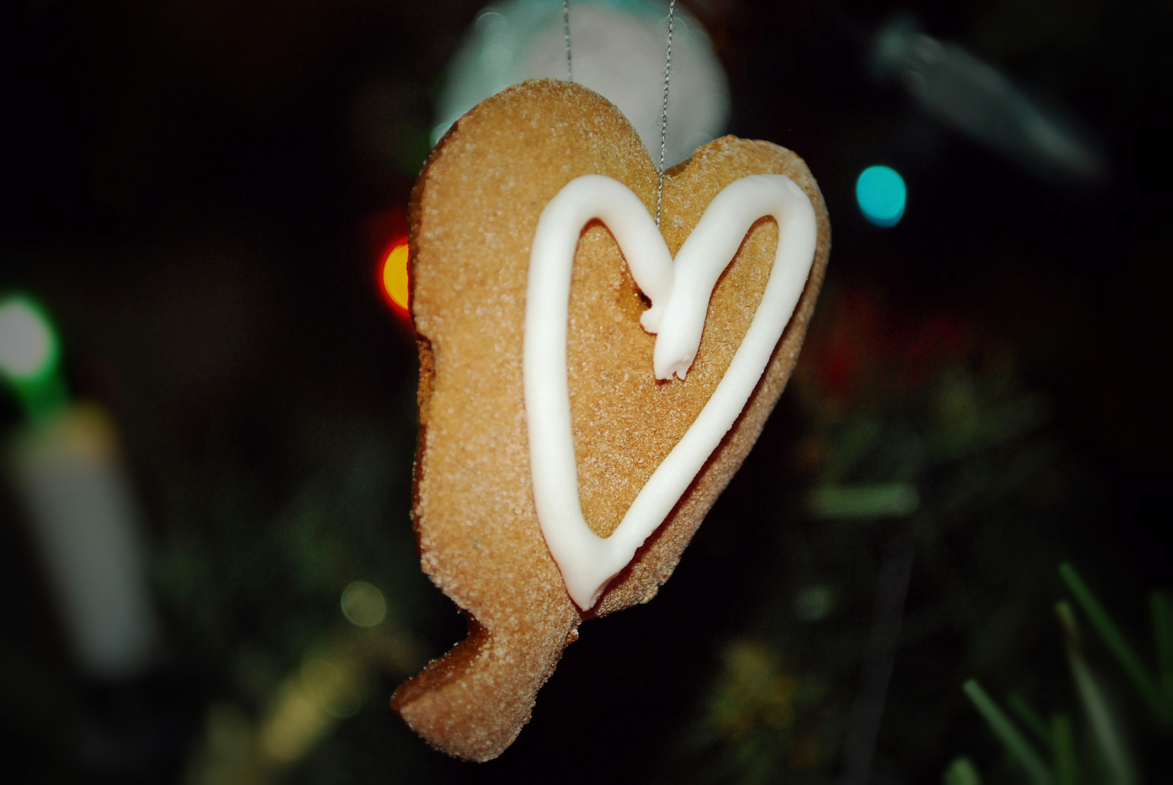 Free Unsplash photo from Magdalena