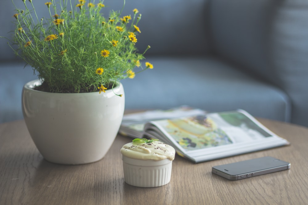 책과 iPhone 5s 옆에 노란 꽃잎 꽃 식물