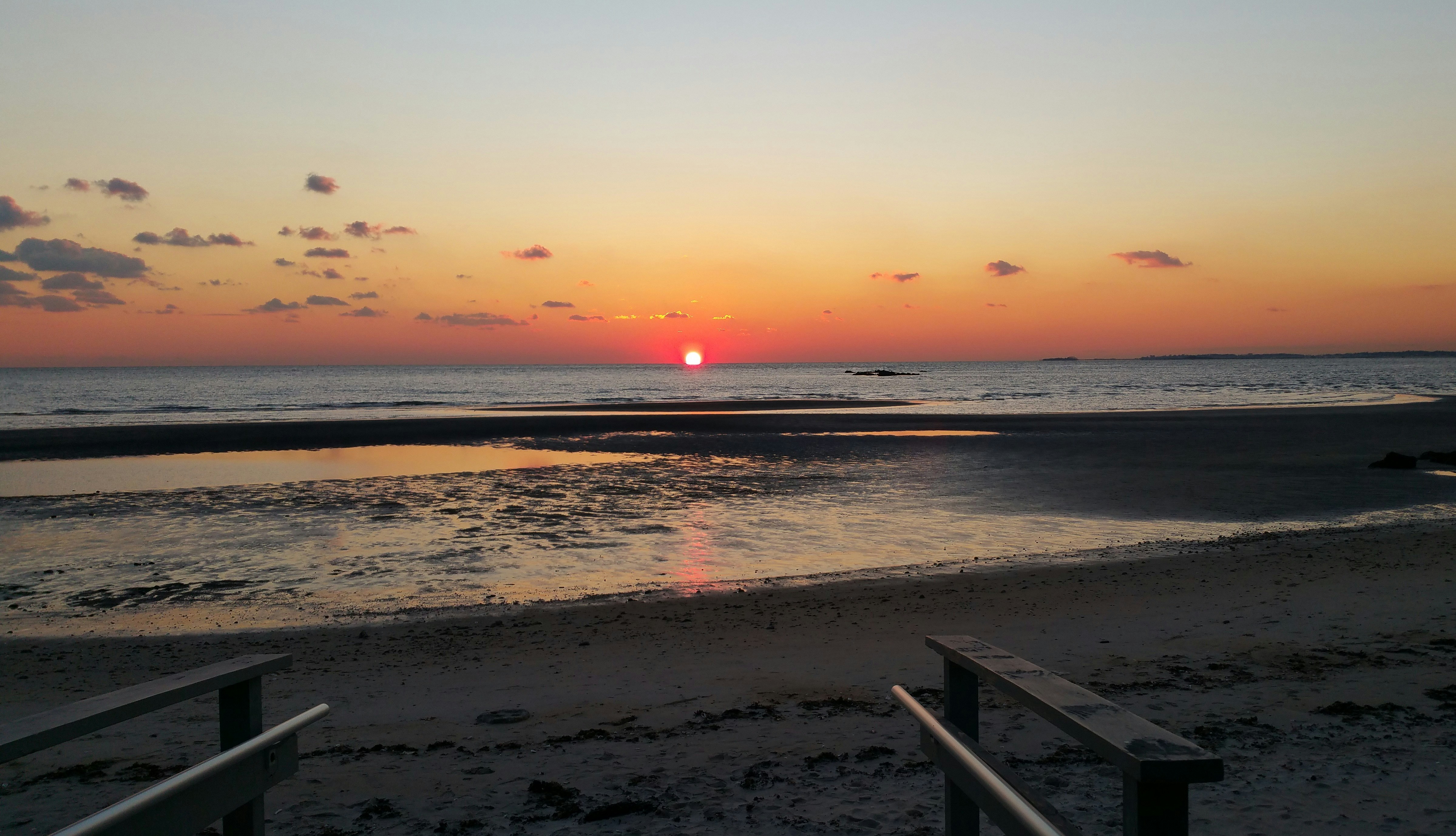 Free Unsplash photo from Doris Carlson