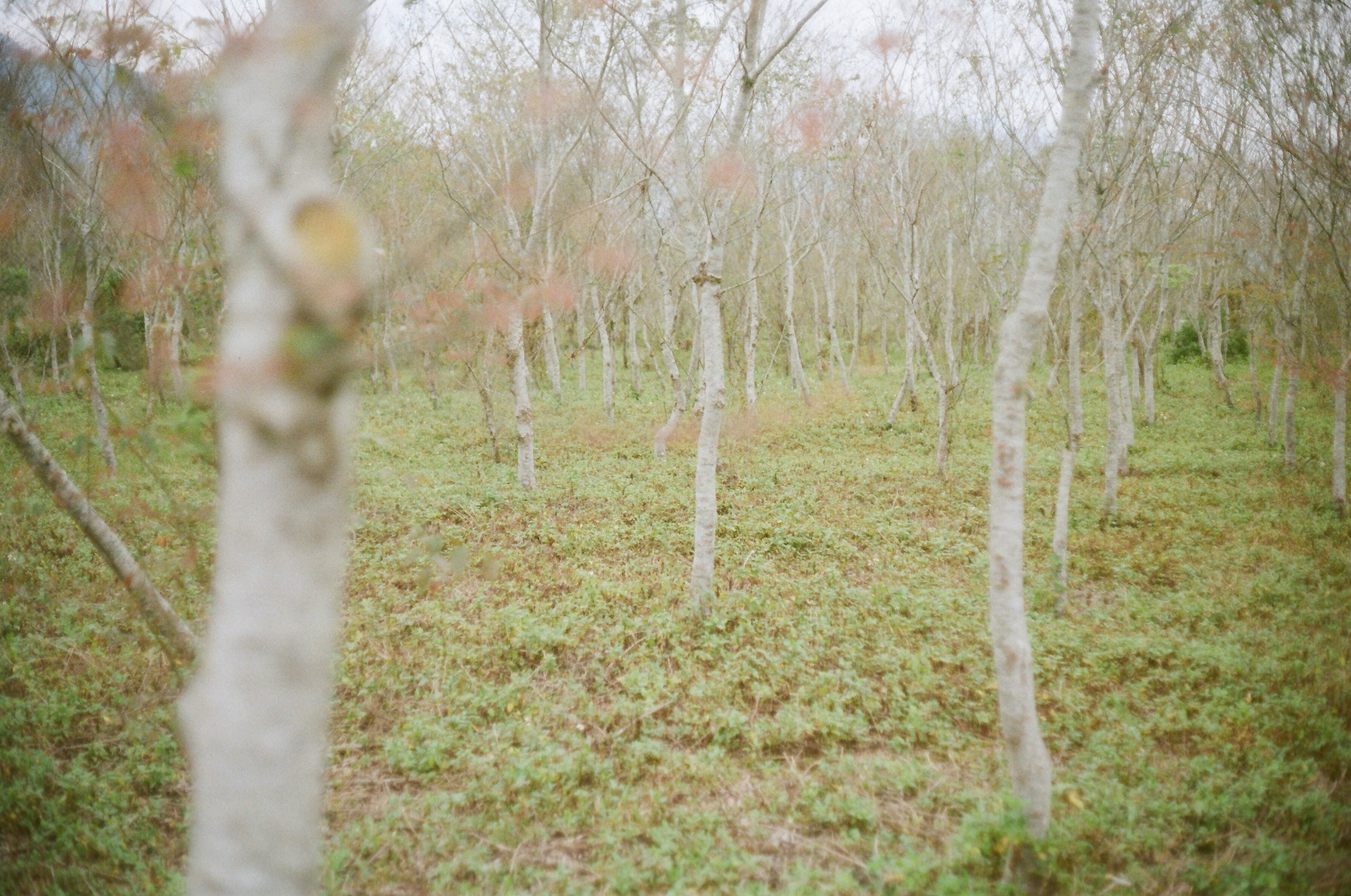 Free Unsplash photo from 建安 施