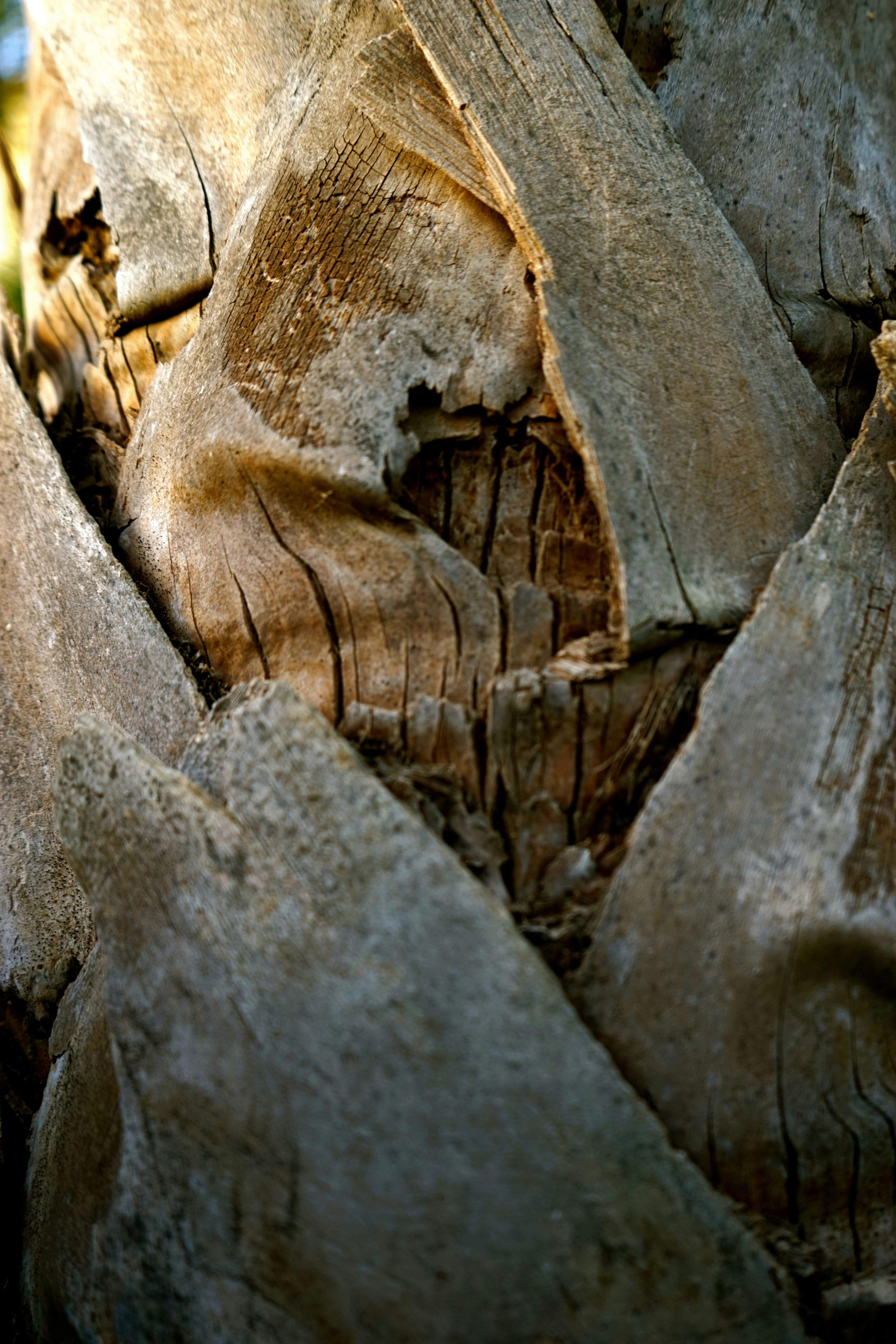 Free Unsplash photo from Eli Sarpila