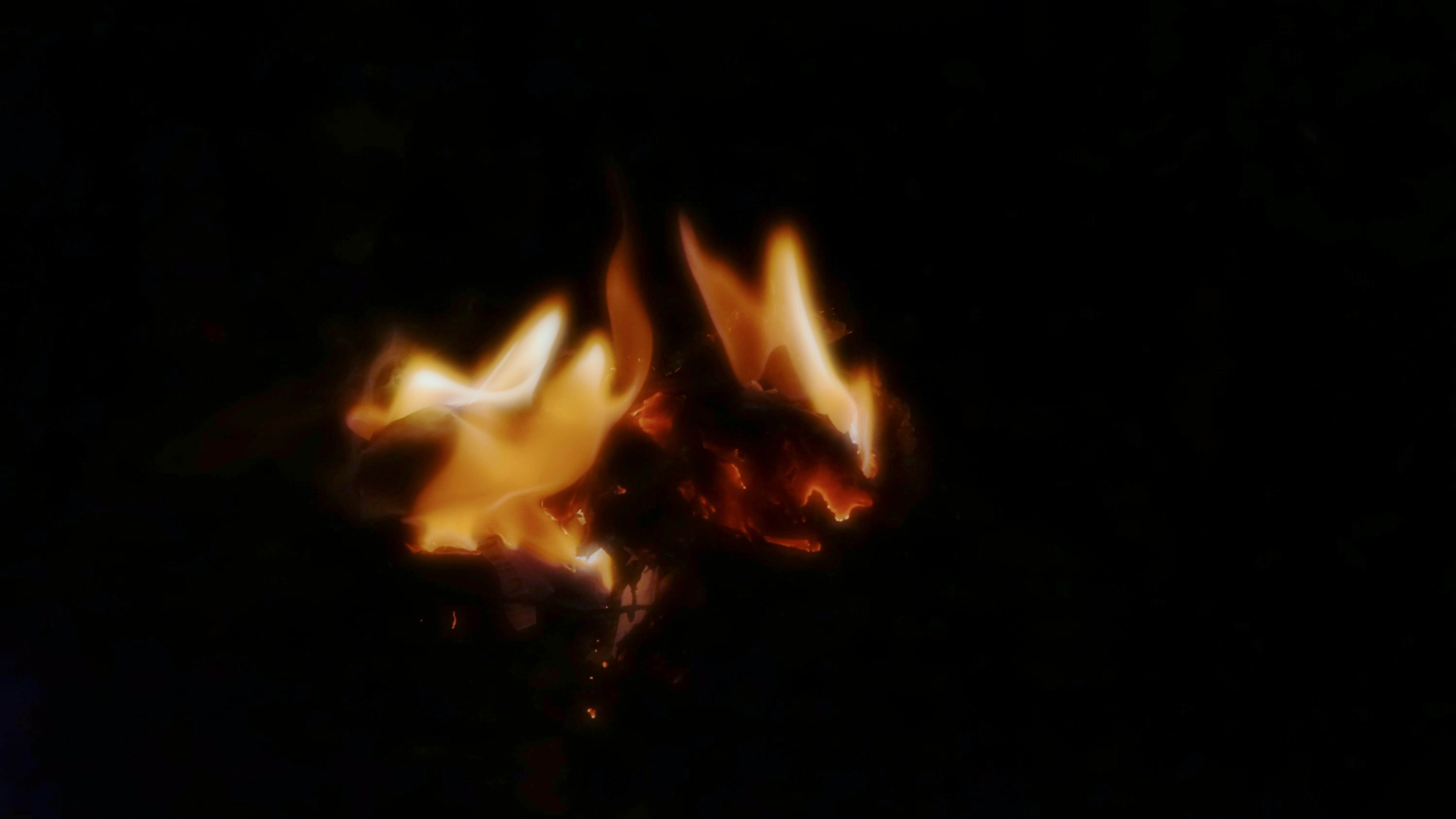 Free Unsplash photo from Eli Sarpila