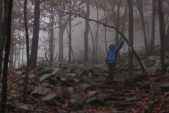 man wearing blue hooded jacket and black pants standing on rock in middle of forest during daytime in Pinnacle Mountain State Park United States