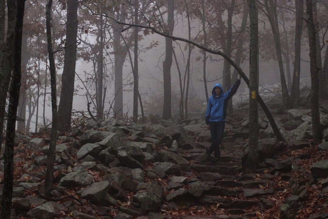 travelers stories about Forest in Pinnacle Mountain State Park, United States