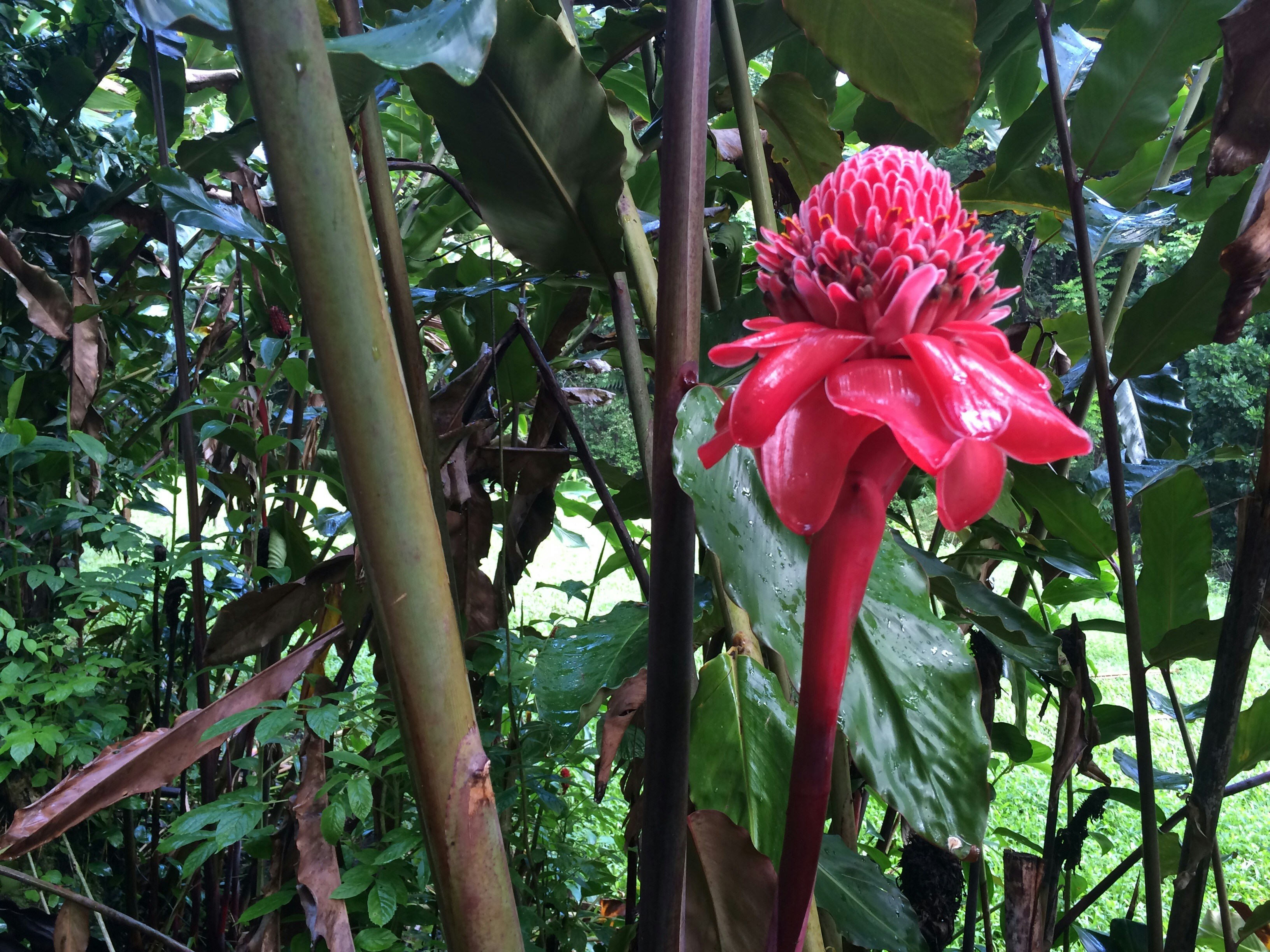 Free Unsplash photo from Christine Benton