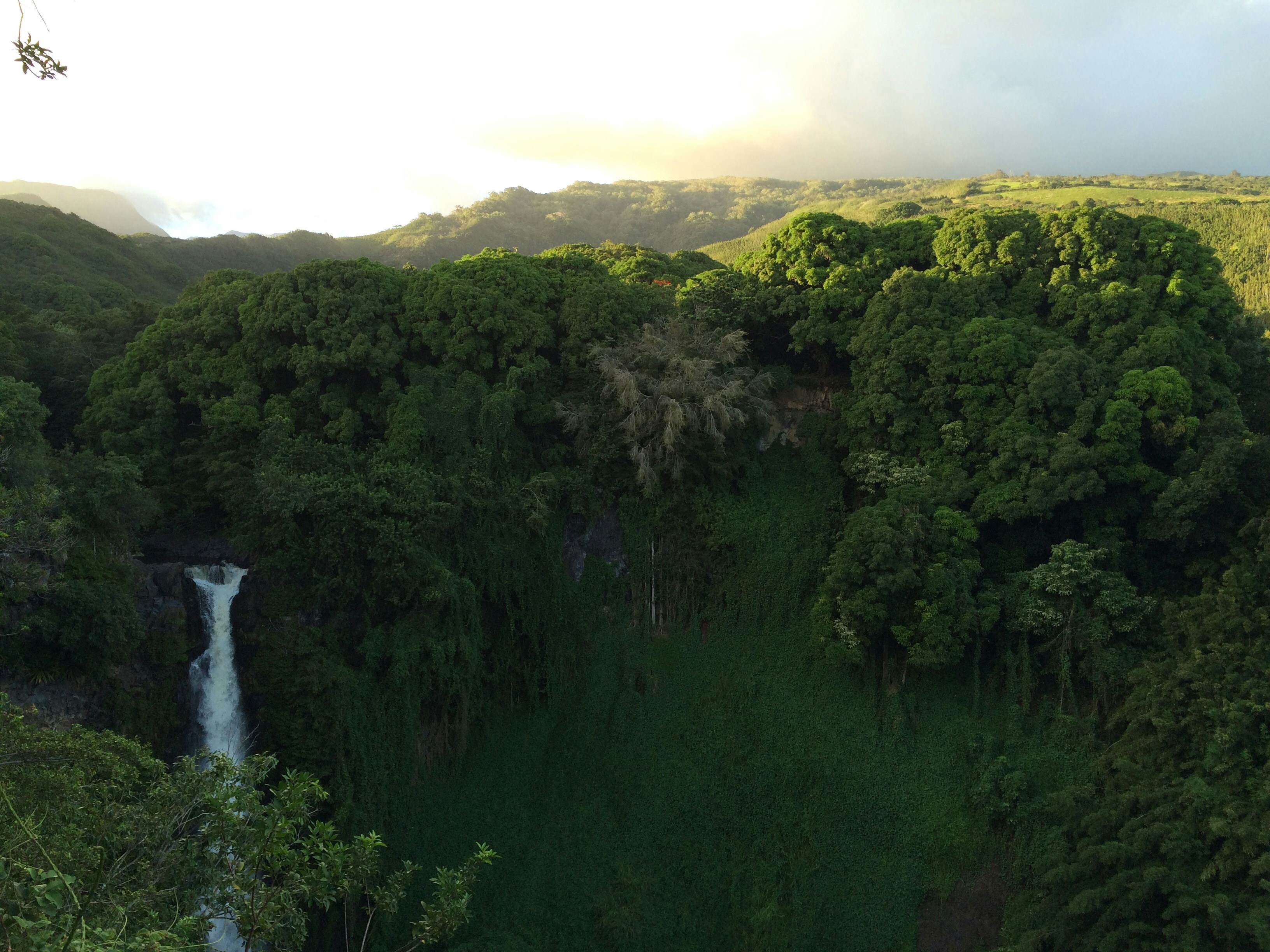 Free Unsplash photo from Christine Benton