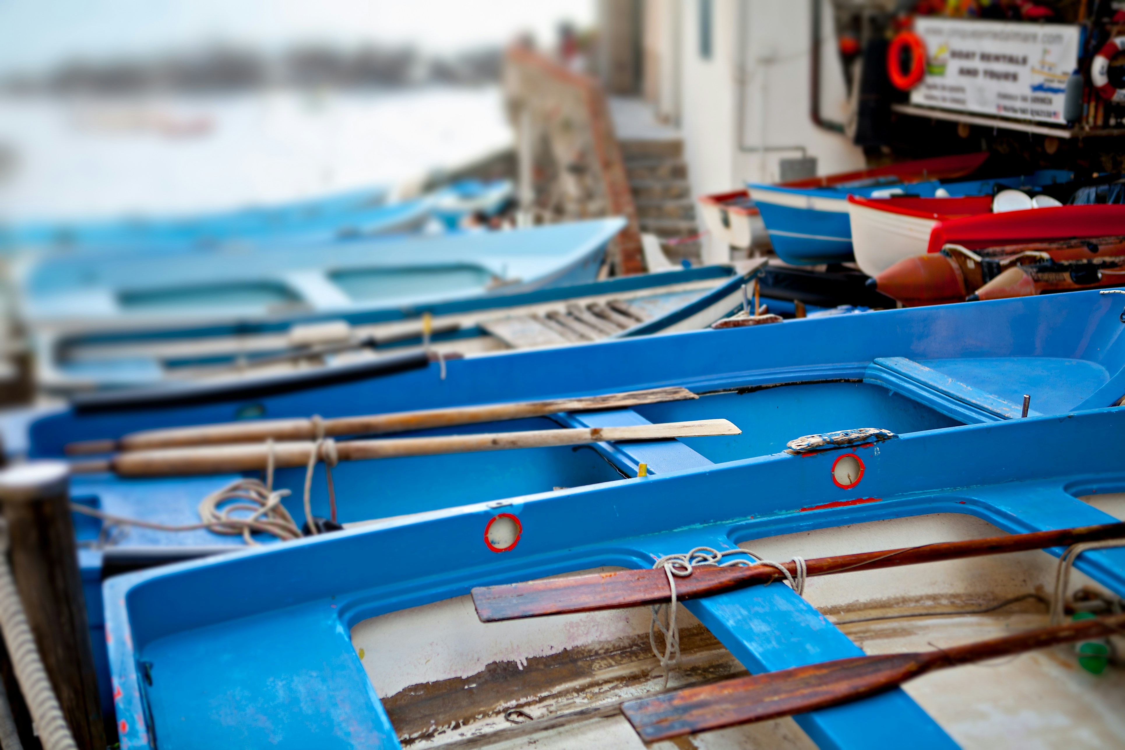 Free Unsplash photo from Jenny Marvin