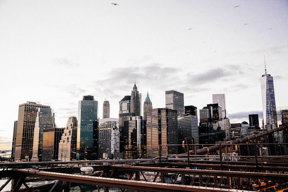 New York City during daytime