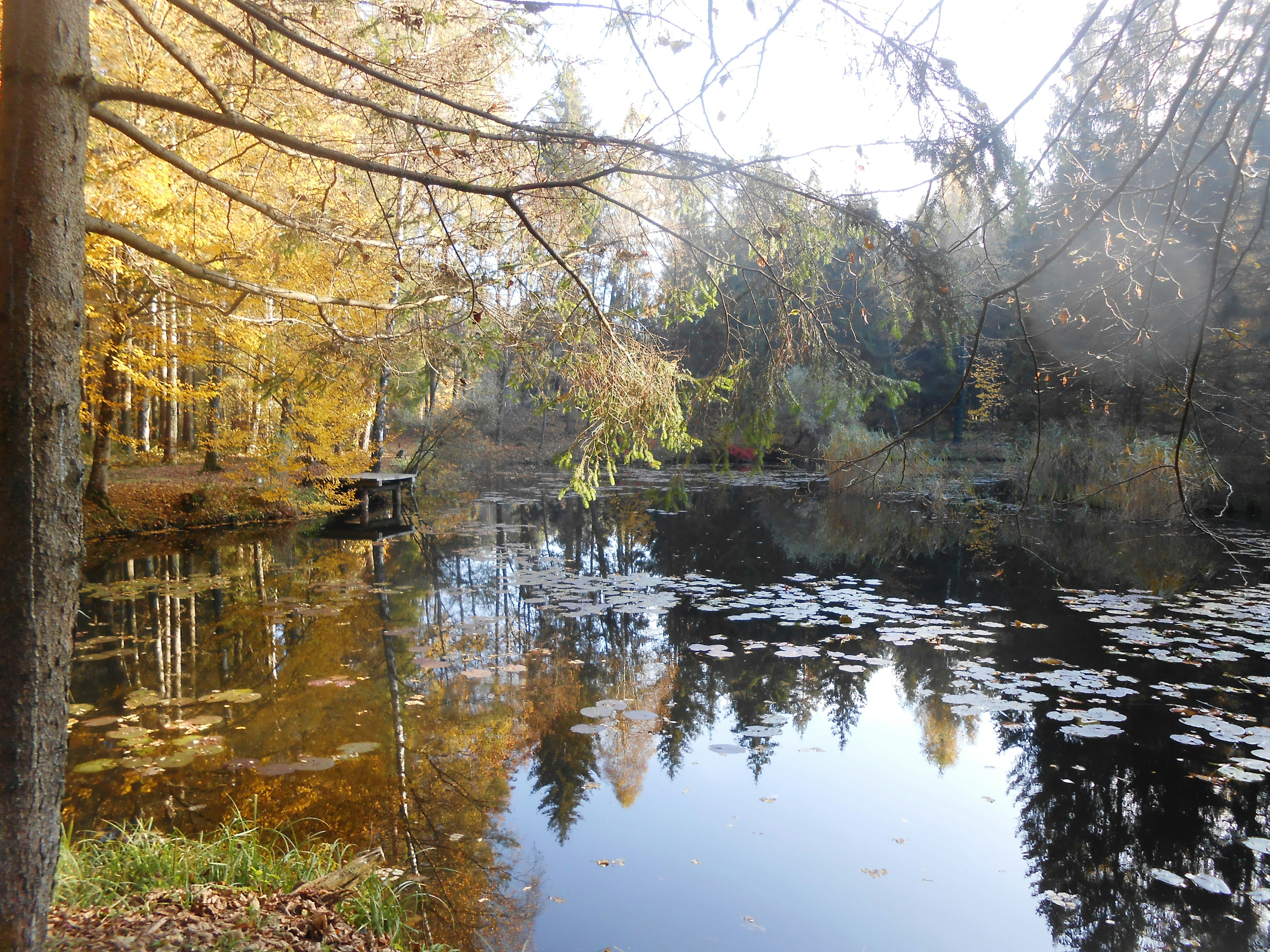 Free Unsplash photo from Marina Fasler