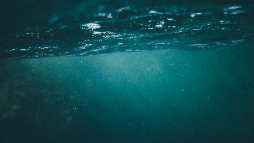 Underwater photo spot Tawharanui Peninsula Te Arai Beach