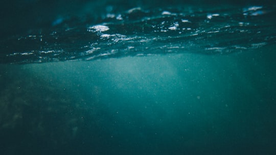 underwater camera capture in Tawharanui Peninsula New Zealand